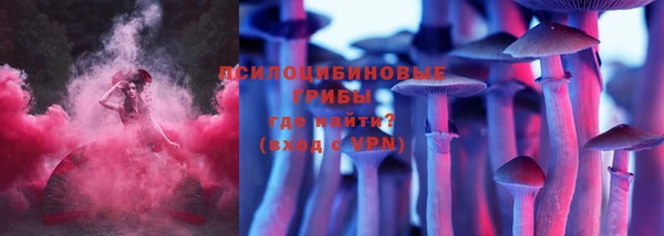 apvp Белокуриха