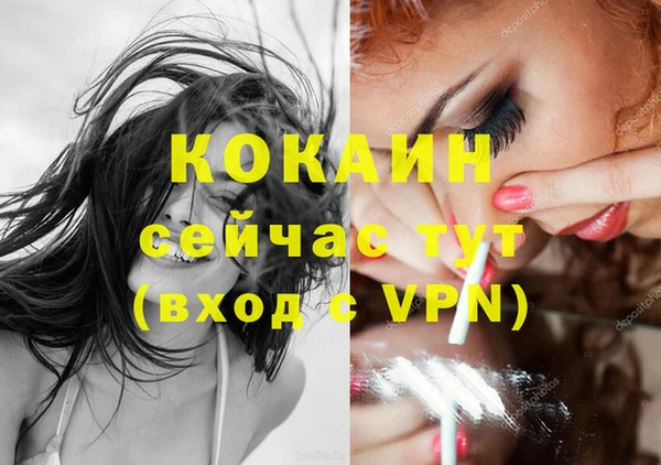 spice Семёнов
