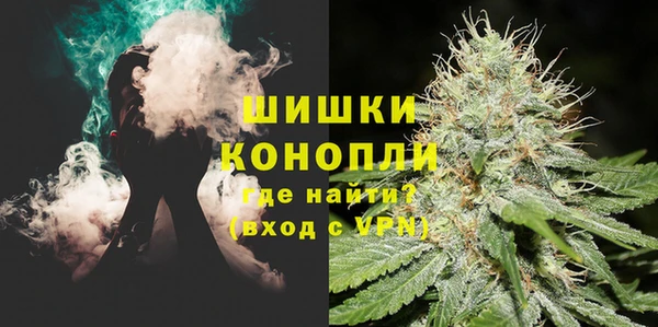 apvp Белокуриха