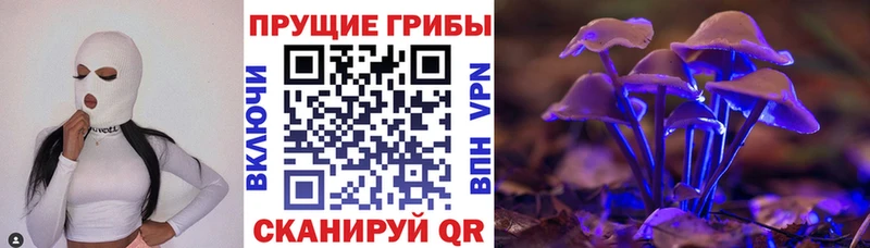 как найти закладки  Вязьма  Галлюциногенные грибы прущие грибы 