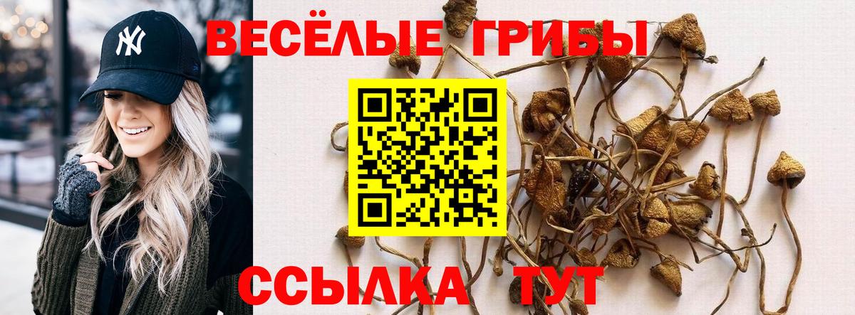 Псилоцибиновые грибы ЛСД Вязьма