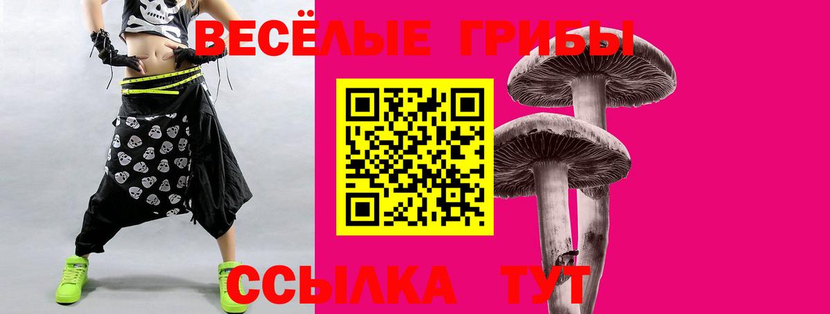 Галлюциногенные грибы Psilocybine cubensis  Псилоцибиновые грибы Cubensis  Вязьма  Вход с VPN 